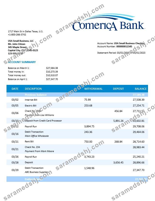 Comerica Bank business statement Word and PDF template